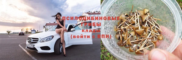 кокс Аркадак