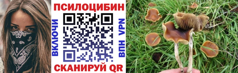 Галлюциногенные грибы Cubensis  где продают   Михайлов 